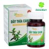 Day Thia Canh Support to stabilize blood sugar, Gymnema sylvestre extract