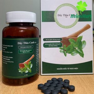 Day Thia Canh Support to stabilize blood sugar, Gymnema sylvestre extract